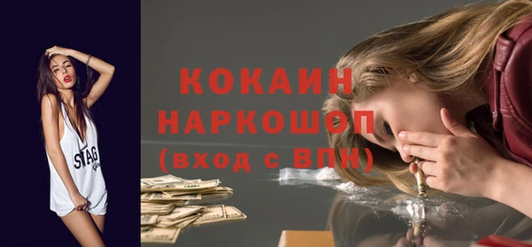 крисы Сосновый Бор