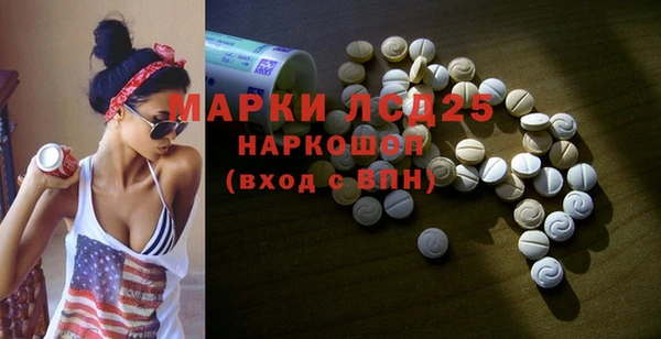 крисы Сосновый Бор