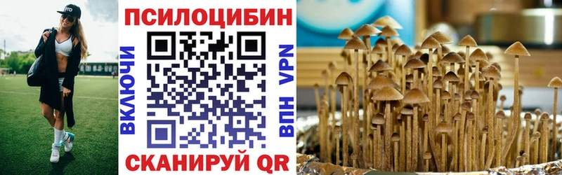 что такое   Холм  Галлюциногенные грибы мухоморы 
