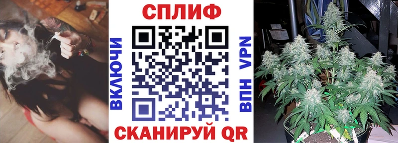Шишки марихуана планчик  Холм 